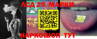 индика Малгобек