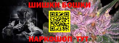 индика Малгобек