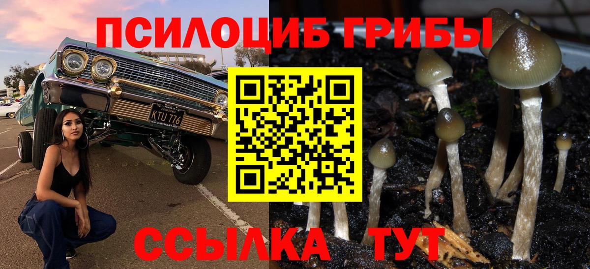 Галлюциногенные грибы мицелий Елец