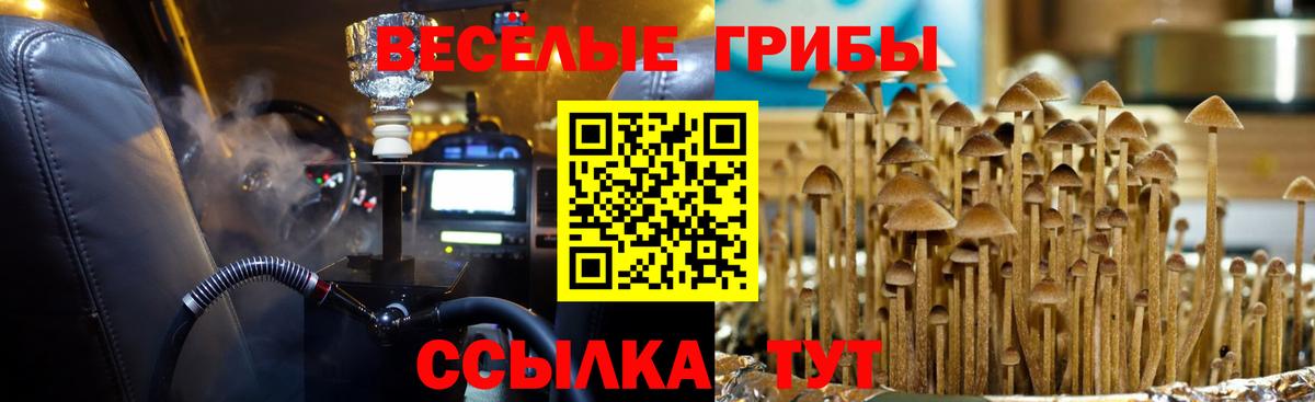 Елец  Псилоцибиновые грибы мицелий  Галлюциногенные грибы мухоморы  Вход с VPN 